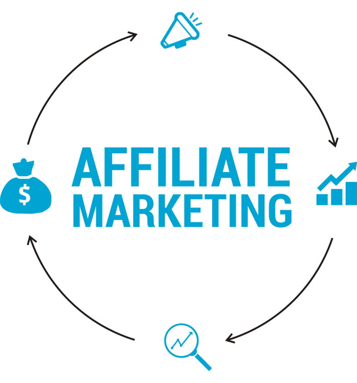 Affiliate Insights Hub